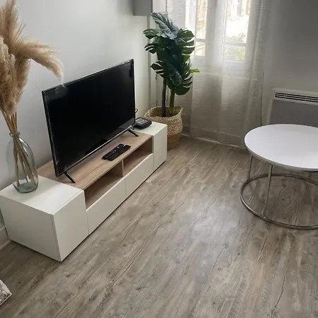 Le Voltaire Apartment Troyes